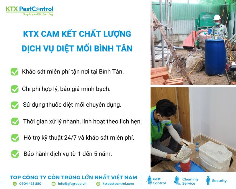 KTX cam kết xử lý mối tận gốc tại Bình Tân