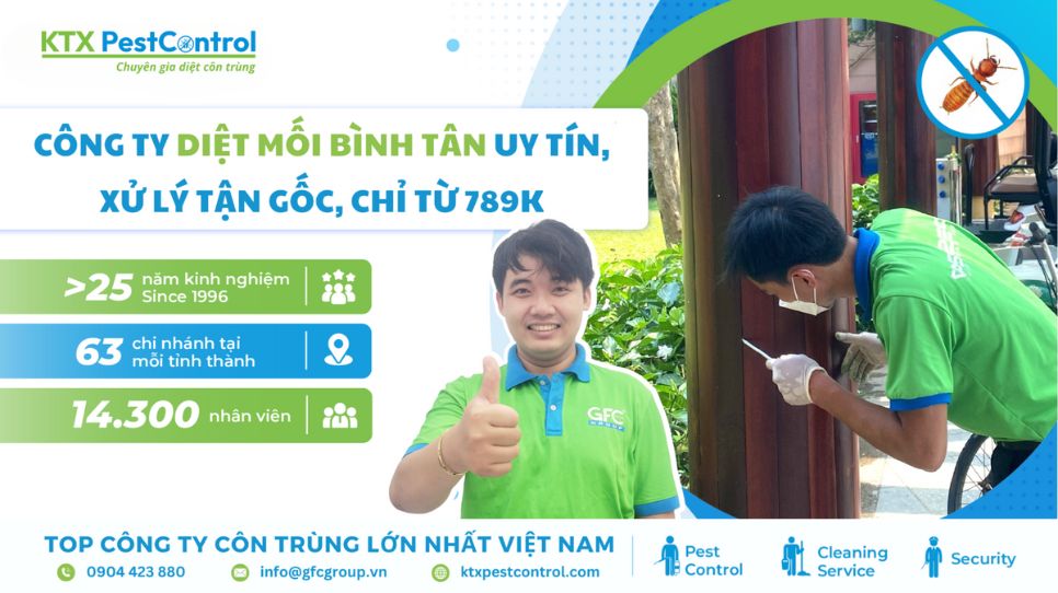 Công ty diệt mối Bình Tân uy tín, xử lý tận gốc, chỉ từ 789K