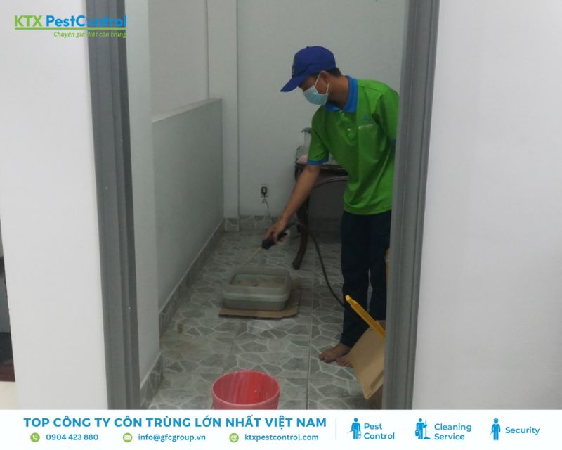 Xử lý tổ mối bằng thuốc dạng dung dịch tại nhà ở Đà Nẵng