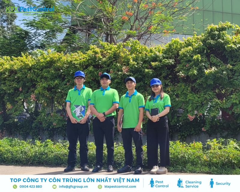 KTX chuyên xử lý mối tại Đà Nẵng