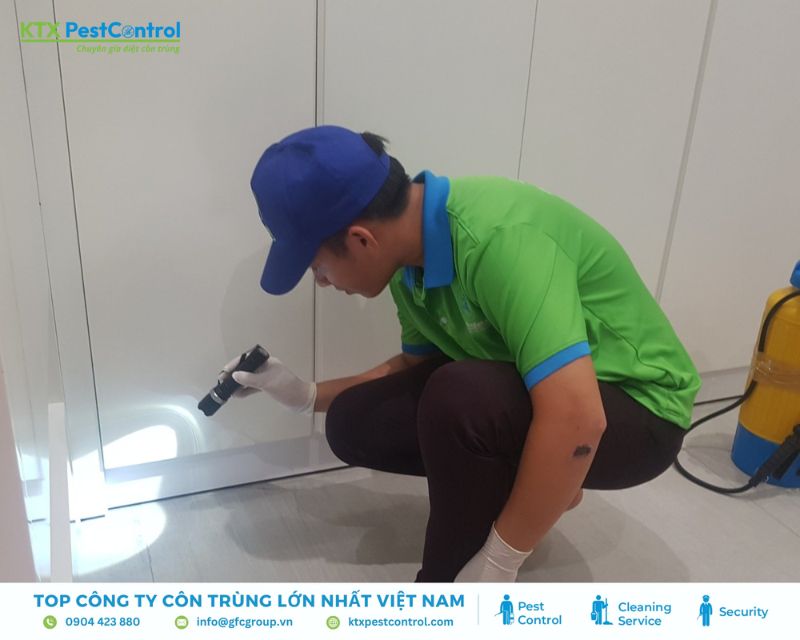 Kỹ thuật viên dịch vụ diệt mối Đà Nẵng khảo sát