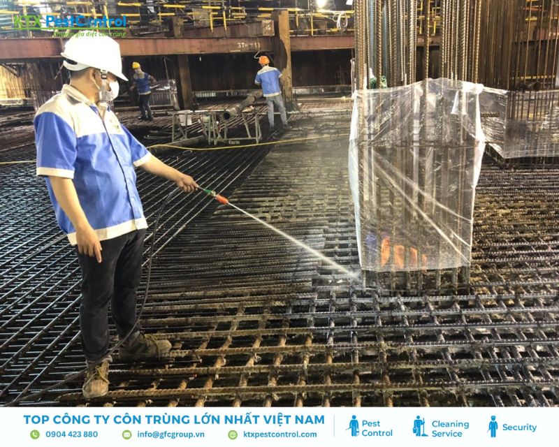 Diệt Mối Nam Việt xử lý mối tận gốc tại Đà Nẵng