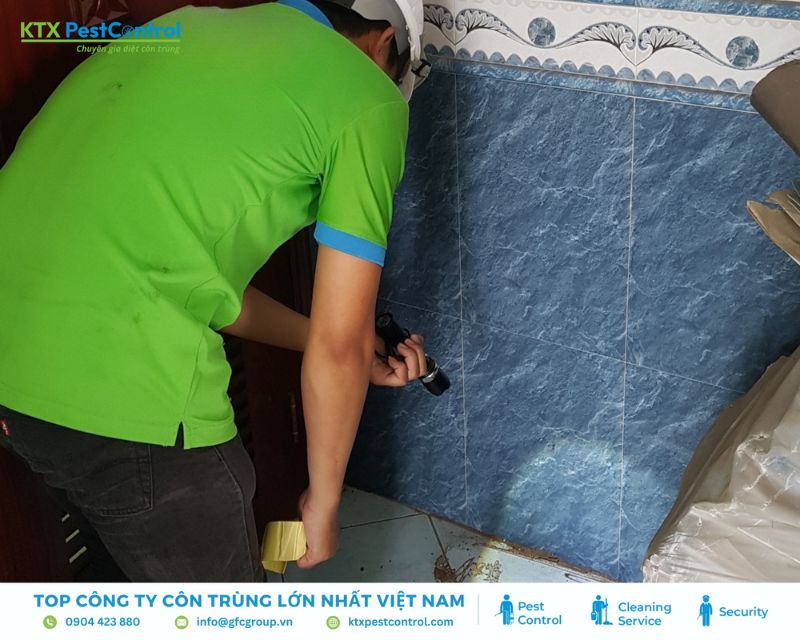 Kỹ thuật viên diệt mối khảo sát mối tại nhà Đà Nẵng