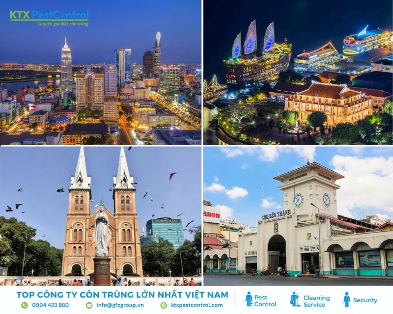 KTX nhận xử lý mối tận nơi tại tất cả khu vực thuộc Quận 1