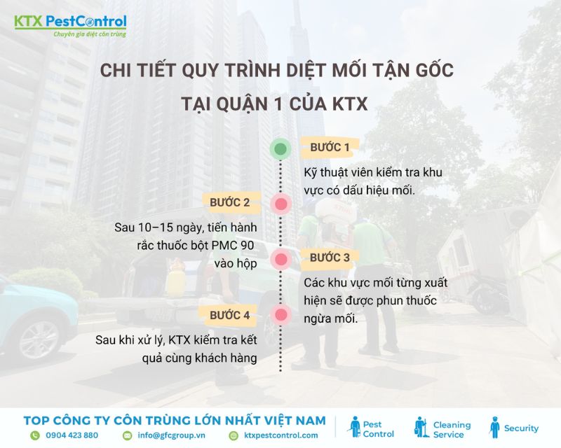 KTX áp dụng quy trình diệt mối 4 bước tại quận 1