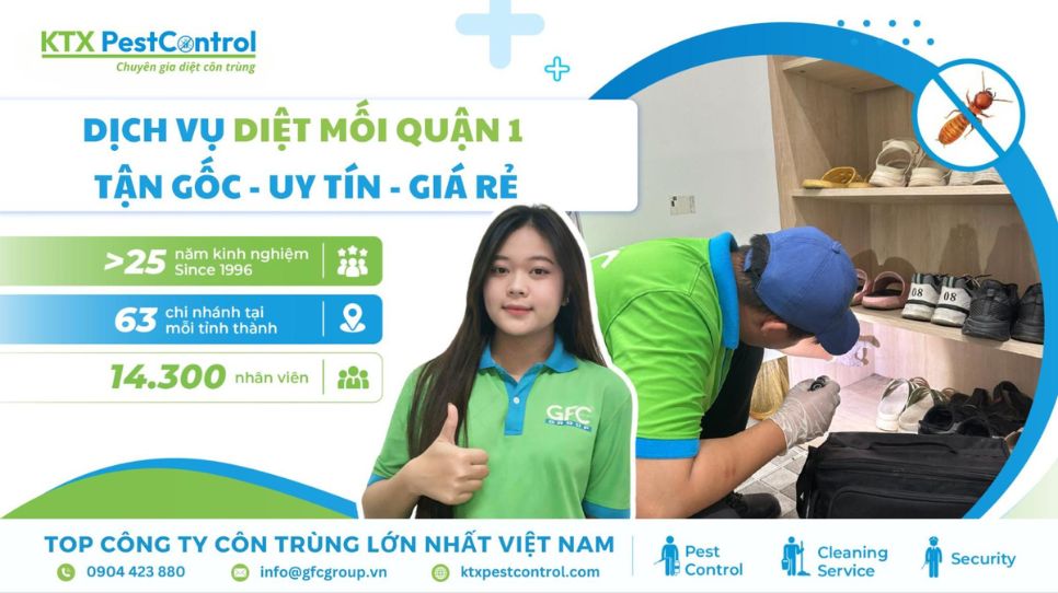 Dịch vụ diệt mối Quận 1 tận gốc, uy tín và giá rẻ
