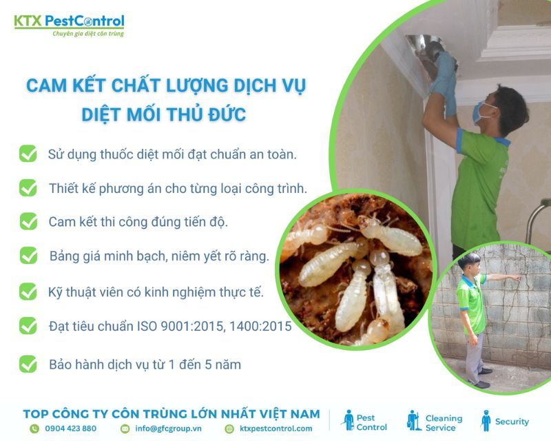 KTX cam kết mang đến dịch vụ diệt mối Thủ Đức uy tín, an toàn và xử lý triệt để tận gốc