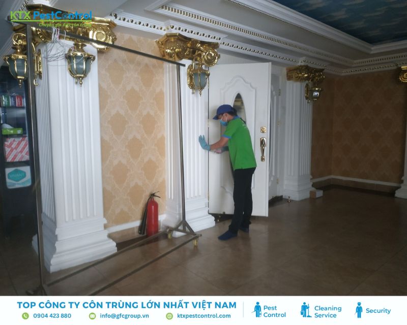 Kỹ thuật viên diệt mối khảo sát mối tại nhà Thủ Đức