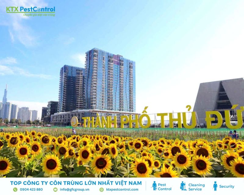 KTX triển khai dịch vụ diệt mối Thủ Đức tại tất cả các phường