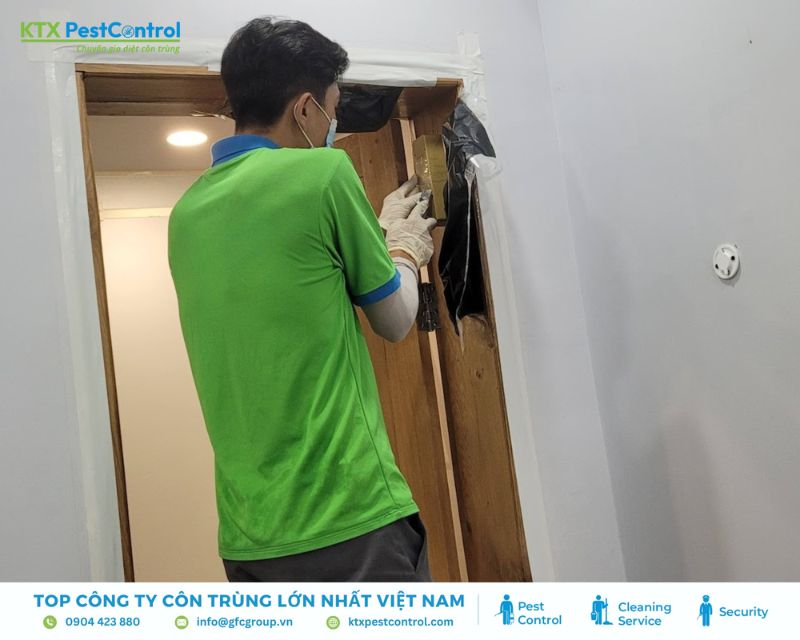 Kỹ thuật viên KTX đến khảo sát mối tận nhà