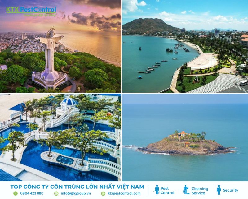 KTX cũng cấp dịch vụ diệt mối Vũng Tàu chuyên nghiệp