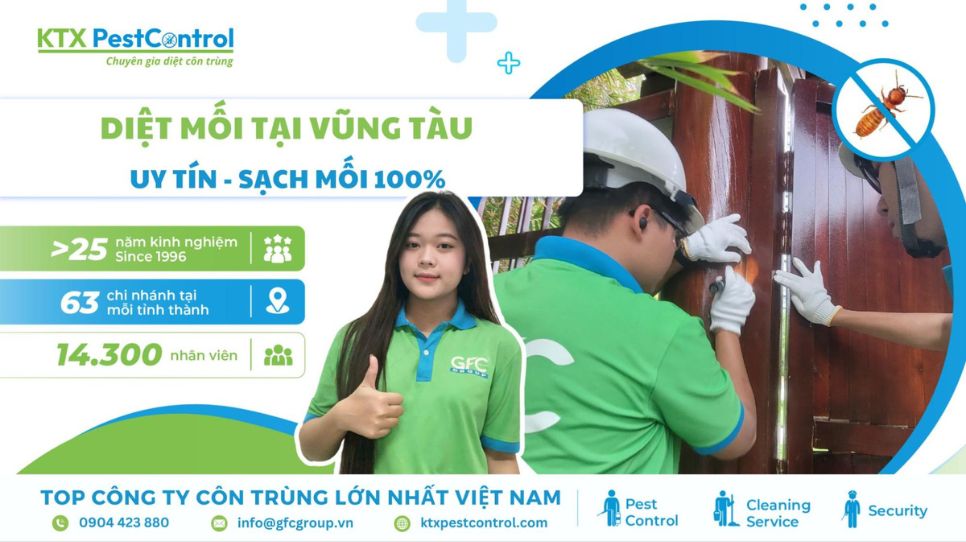 Diệt mối tại Vũng Tàu uy tín, sạch mối 100%