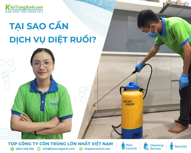 Diệt côn trùng KTX chuyên cung cấp dịch vụ diệt ruồi tại nhà tận gốc