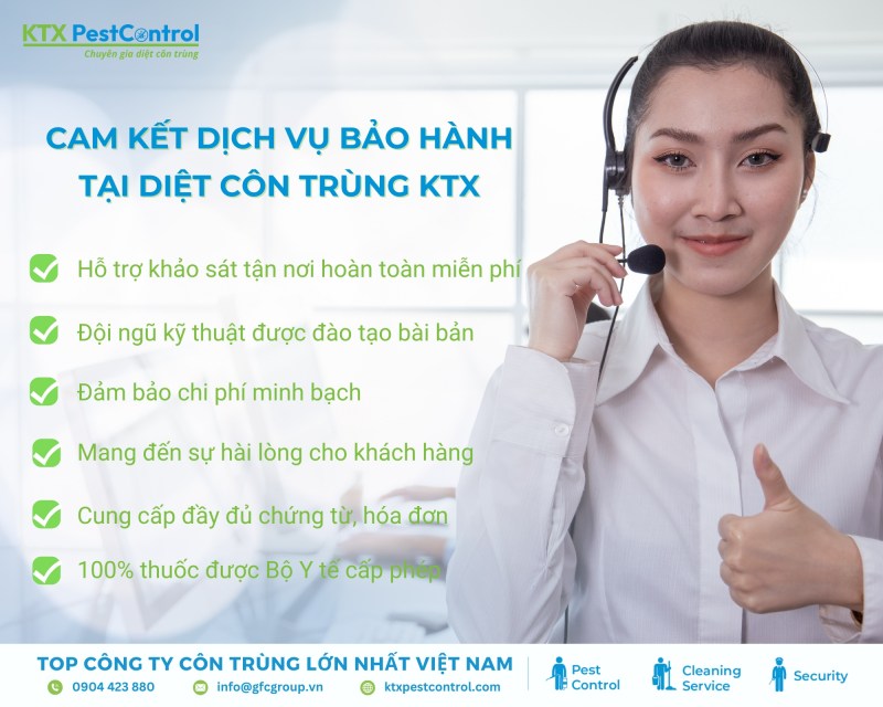 Tại sao chọn chúng tôi