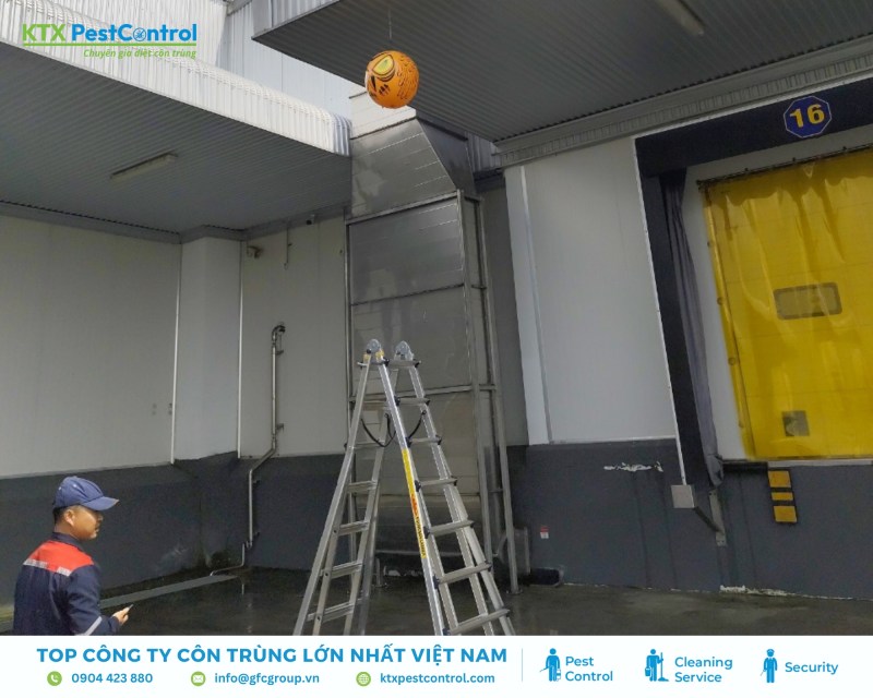 Kỹ thuật viên lắp đặt lưới chắn, dây căng, bàn chông hoặc thiết bị âm thanh, ánh sáng xua đuổi chim