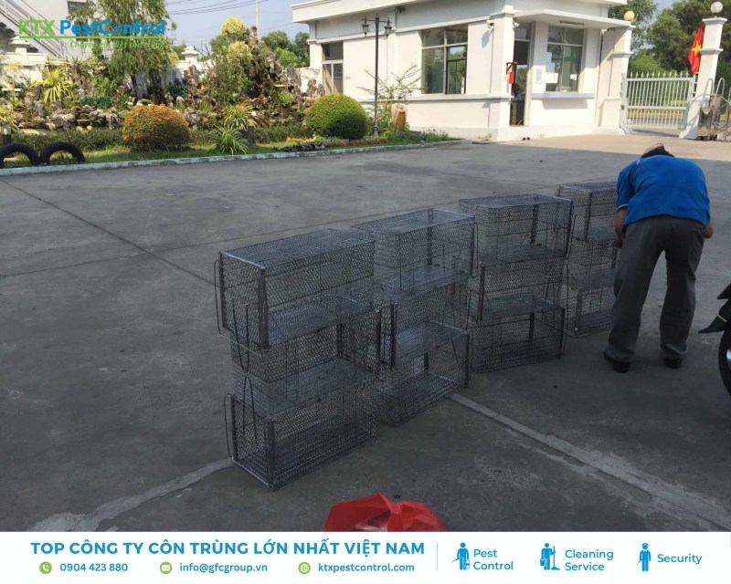KTX áp dụng biện pháp bẫy cơ học để bắt mèo hoang 