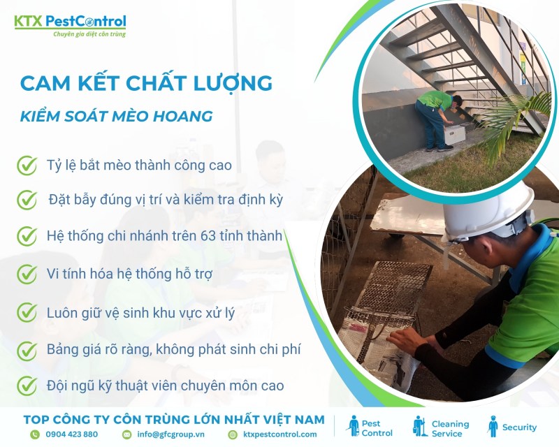 Tại sao chọn chúng tôi