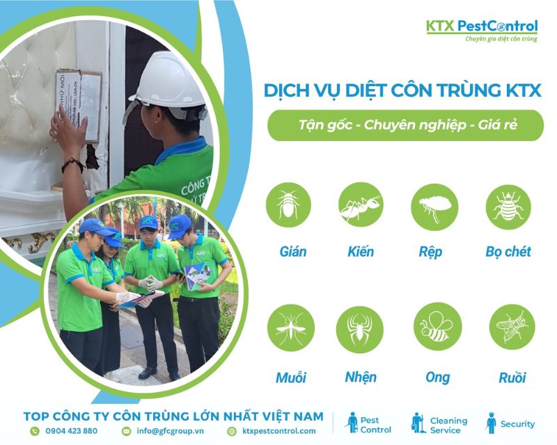 Các loại côn trùng gây hại KTX nhận tiêu diệt tại quận 11