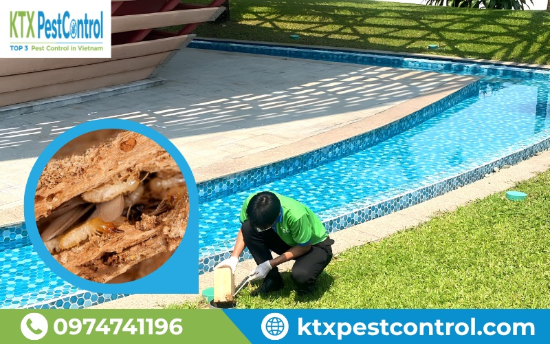 Phương pháp diệt mối Hải Phòng đặt hộp nhử kết hợp PMC 90