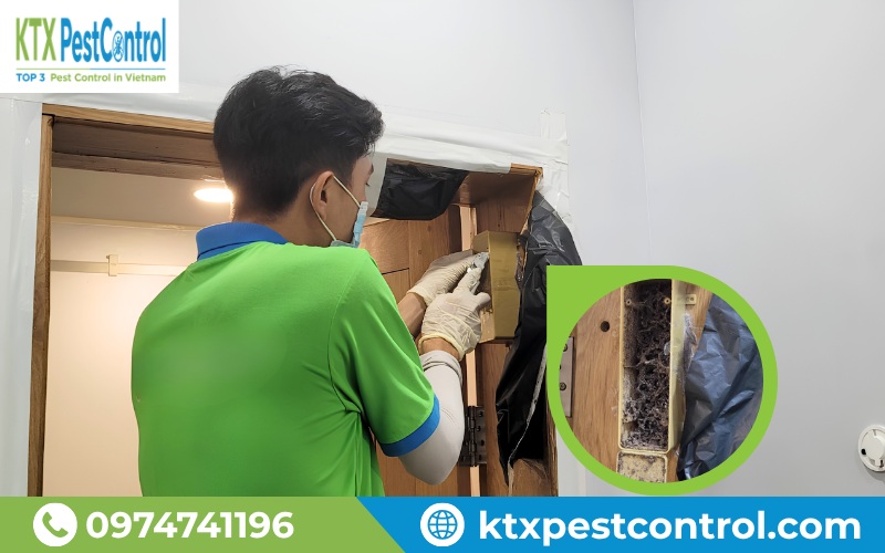Phương pháp diệt mối mới của KTX sử dụng trạm Labyrinth kết hợp bả Requiem