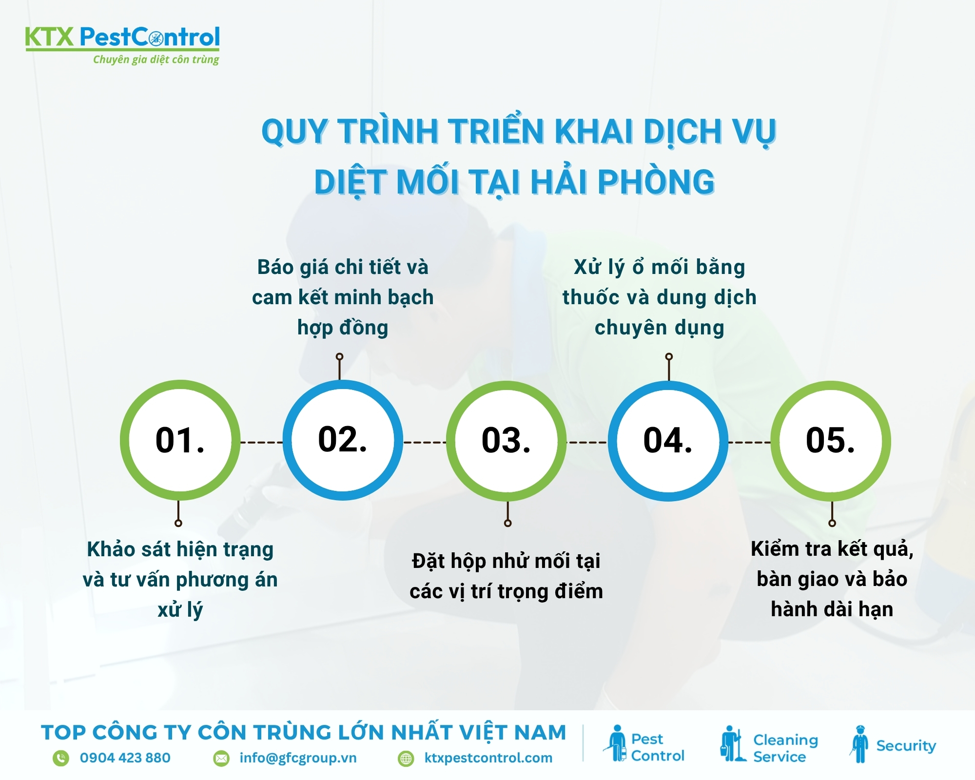 Quy trình diệt mối tại Hải Phòng 