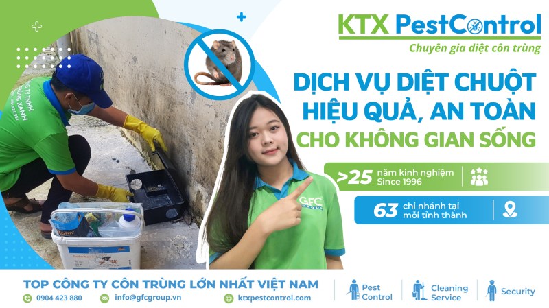 Tại sao chọn chúng tôi