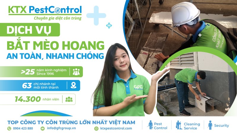 Tại sao chọn chúng tôi