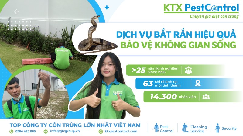 Tại sao chọn chúng tôi