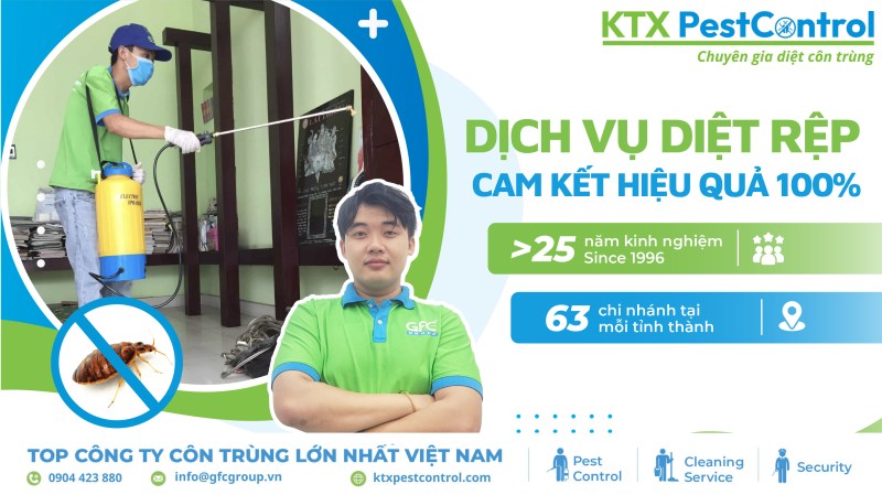 Tại sao chọn chúng tôi