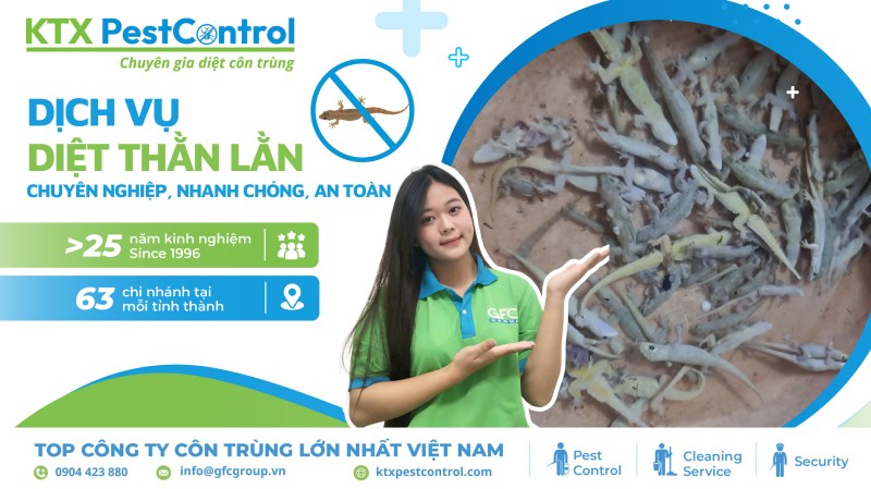 Tại sao chọn chúng tôi