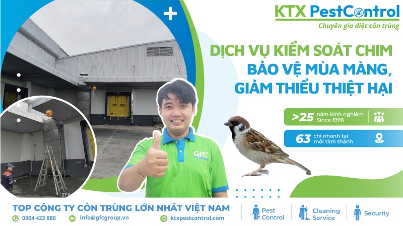 Tại sao chọn chúng tôi