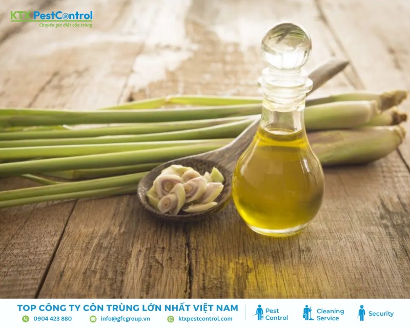 Tinh dầu sả đuổi rắn
