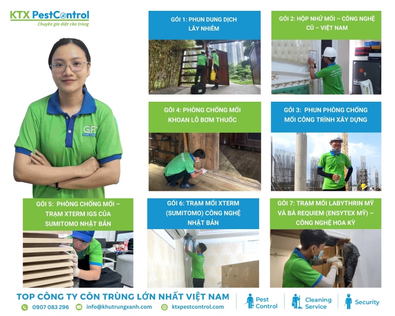 KTX áp dụng nhiều gói công nghệ diệt mối hiện đại, phù hợp cho khách hàng tại Đông Anh