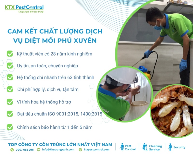 KTX cam kết cung cấp dịch vụ diệt mối huyện Phú Xuyên an toàn, sạch mối tận gốc