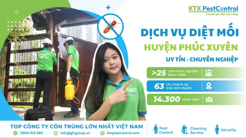 Dịch vụ diệt mối huyện Phú Xuyên uy tín, chuyên nghiệp