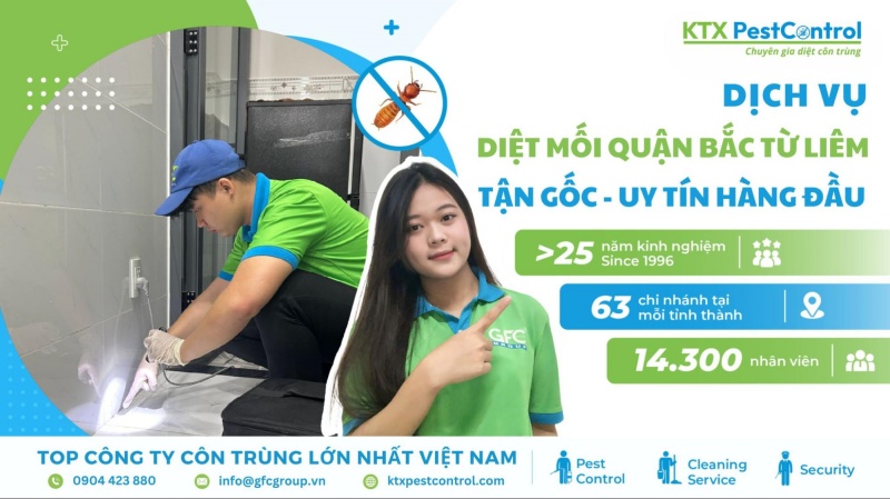 Dịch vụ diệt mối Bắc Từ Liêm tận gốc, uy tín hàng đầu
