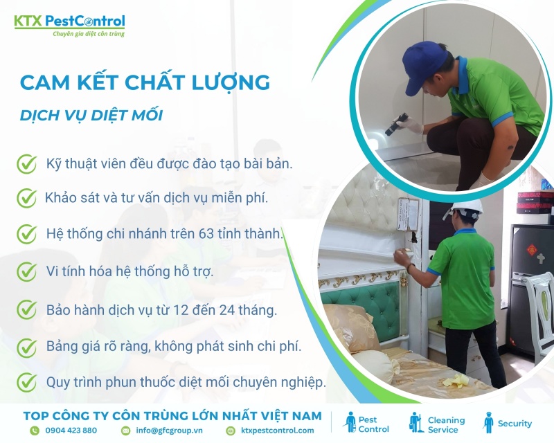 KTX cam kết cung cấp dịch vụ diệt mối uy tín, hiệu quả cho khách hàng tại Bắc Từ Liêm