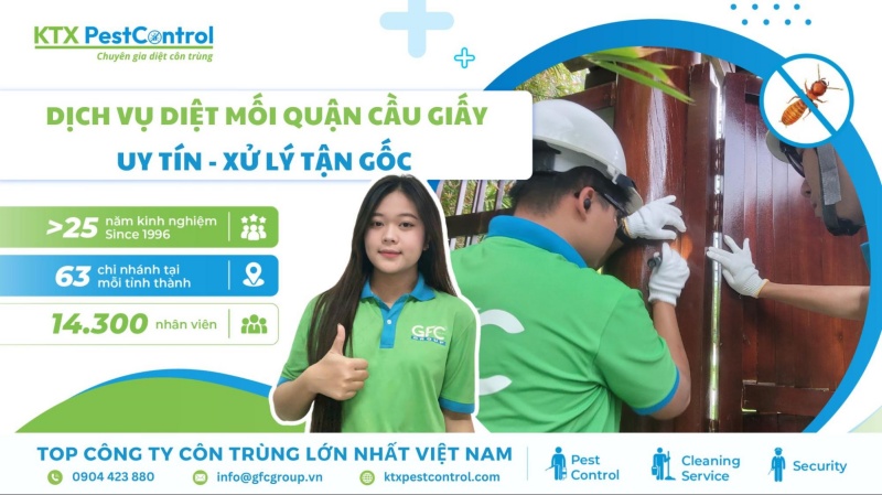 Dịch vụ diệt mối quận Cầu Giấy uy tín, xử lý tận gốc