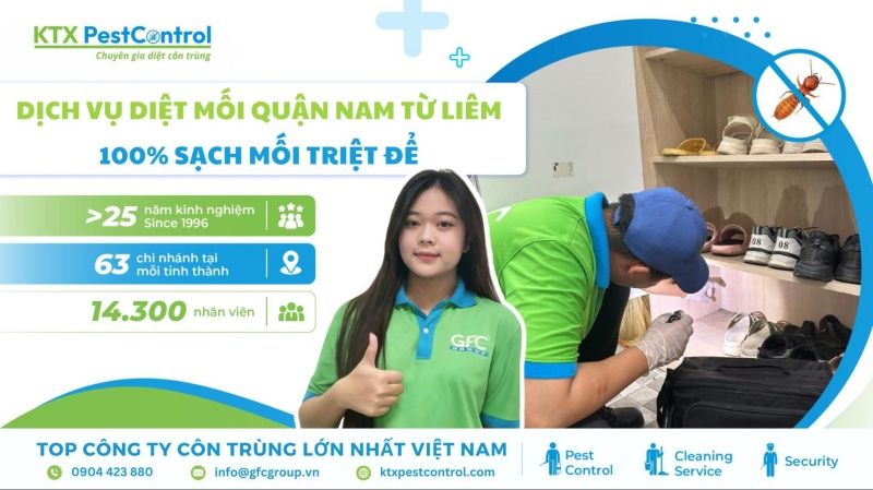 Dịch vụ diệt mối quận Nam Từ Liêm 100% sạch mối triệt để