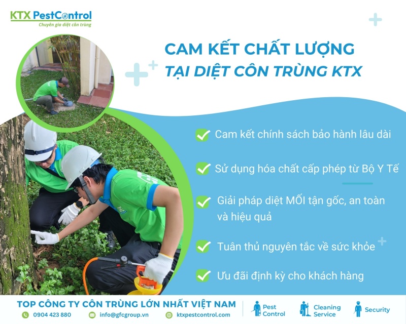 Cam kết chất lượng dịch vụ diệt mối tại quận Nam Từ Liêm