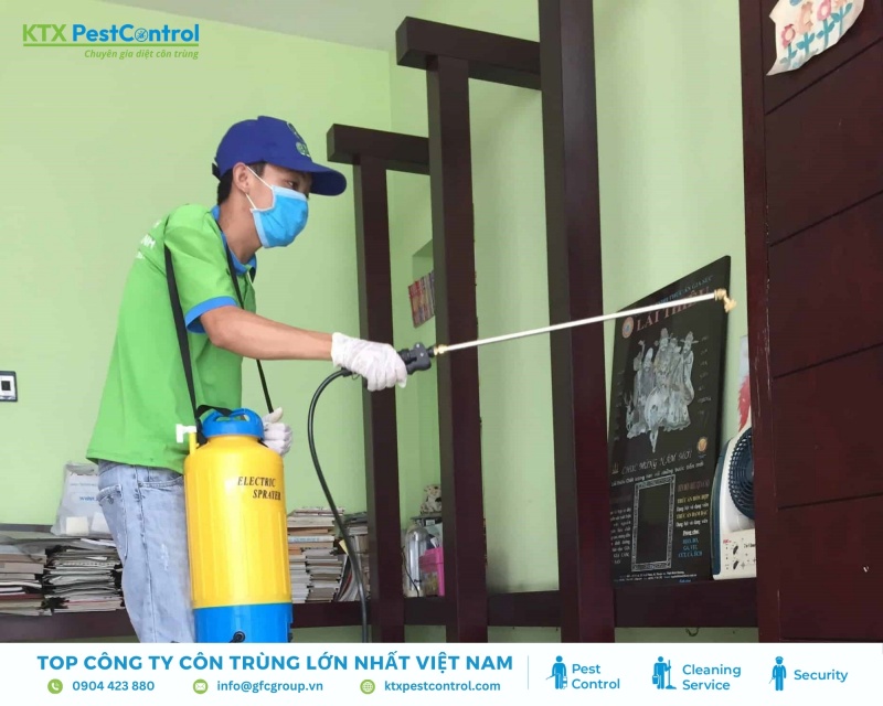 Bước 4: Triển khai xử lý mối tận gốc