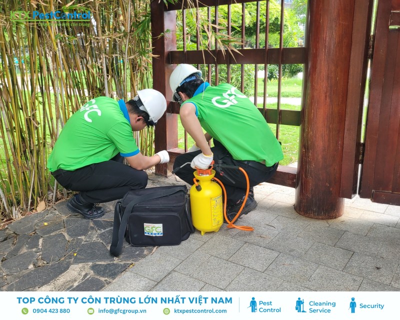 Thi công diệt mối tại huyện Đan Phượng bằng thiết bị chuyên dụng theo đúng khu vực khảo sát