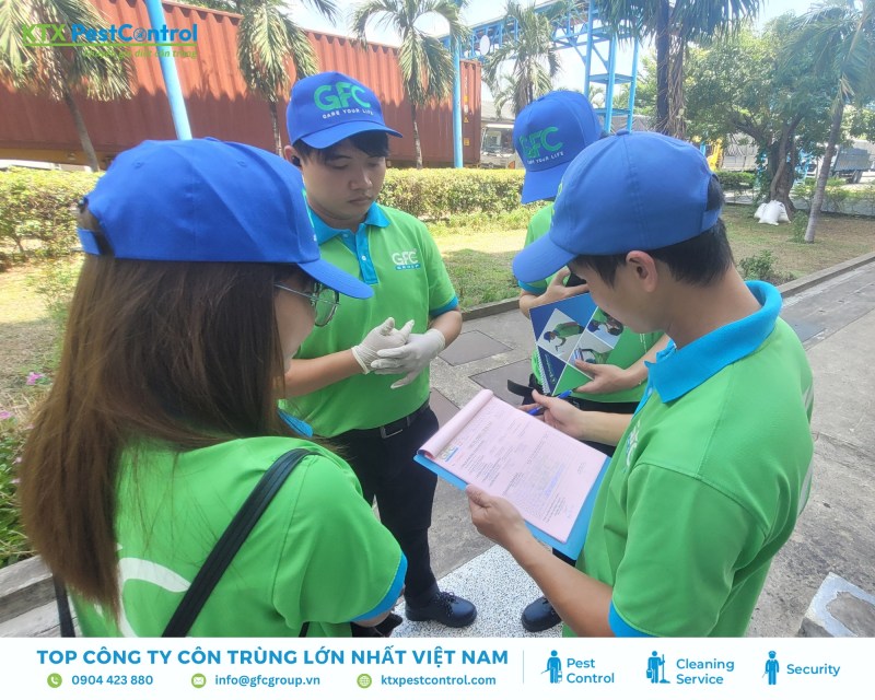 Dịch vụ diệt mối huyện Đan Phượng uy tín tận nơi