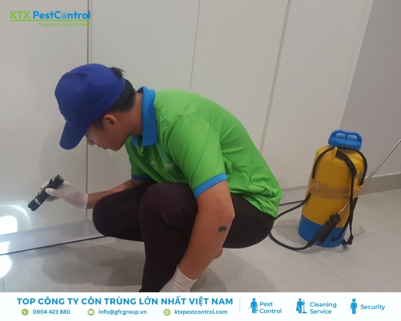 Kỹ thuật viên khảo sát thực tế, đánh giá tình trạng mối và tư vấn hướng xử lý phù hợp