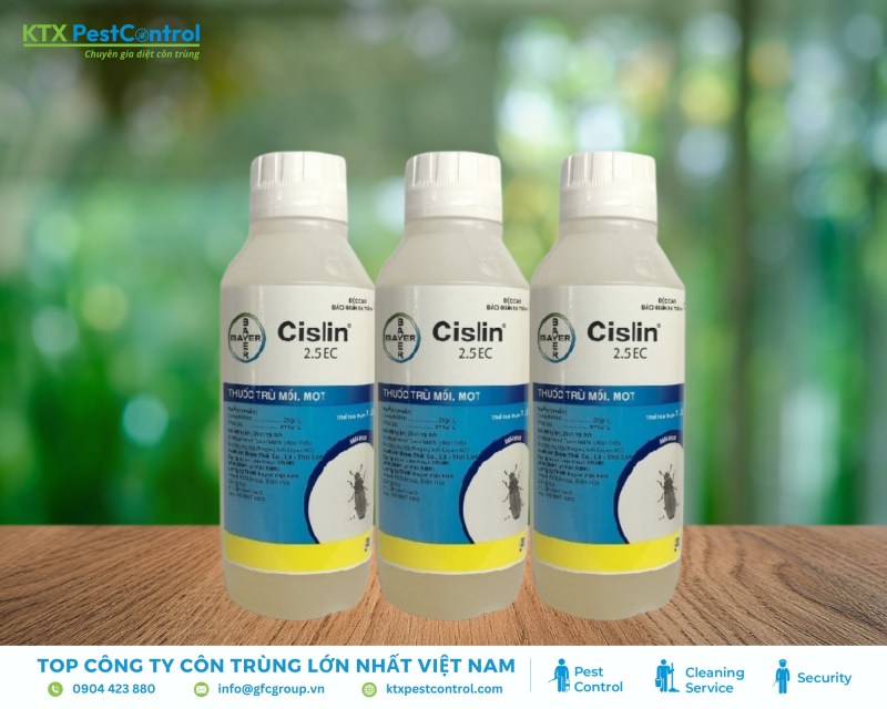 Cislin 2.5EC đặc trị mối gỗ, hiệu quả cao, mùi nhẹ, dùng phổ biến trong ngành nội thất