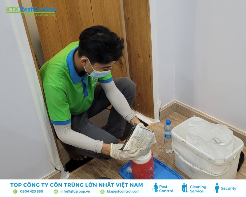 Dịch vụ diệt mối huyện Gia Lâm an toàn, hiệu quả và giá rẻ