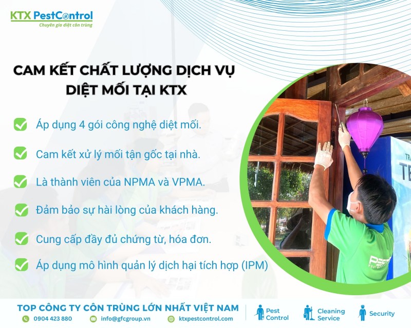 KTX cam kết mang đến chất lượng dịch vụ diệt mối tốt nhất cho khách hàng