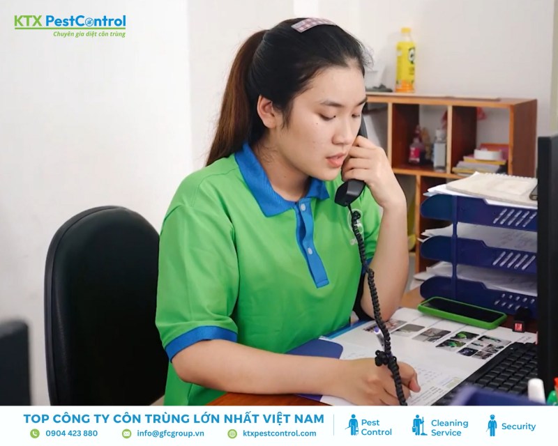 Dịch vụ diệt mối huyện Mê Linh uy tín, nhanh chóng, tận gốc