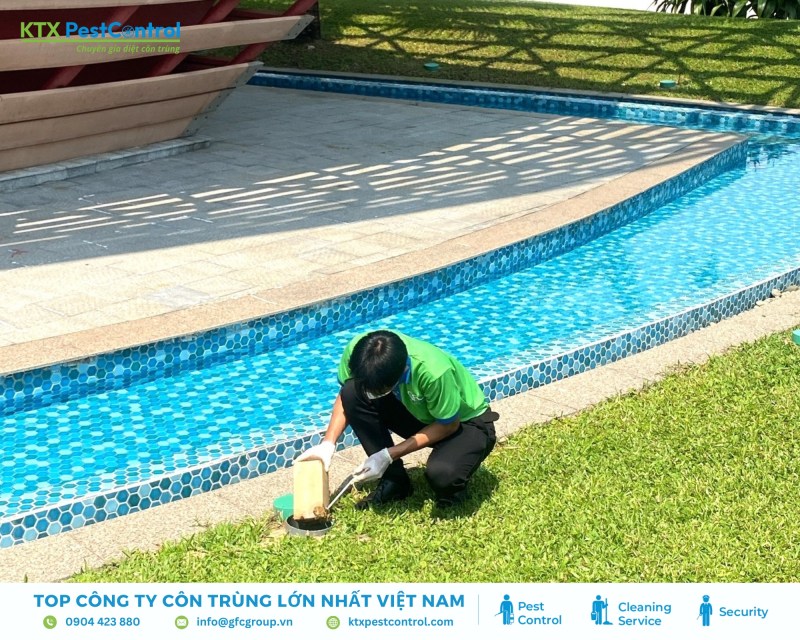 Dịch vụ diệt mối huyện Mỹ Đức an toàn, uy tín – Giá chỉ từ 100K