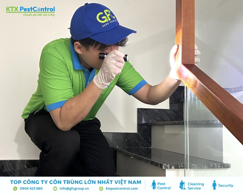 Kỹ thuật viên khảo sát, xác định loài mối, mức độ phá hoại và tư vấn phương án xử lý, báo giá